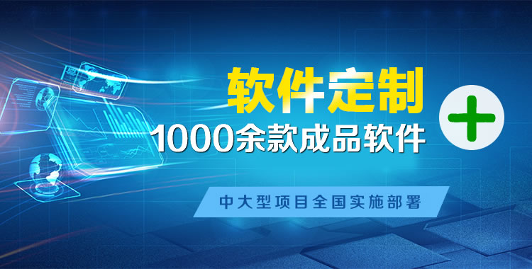 桦甸管理系统软件软件开发